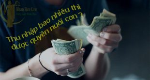 Thu nhập bao nhiêu thì được quyền nuôi con?